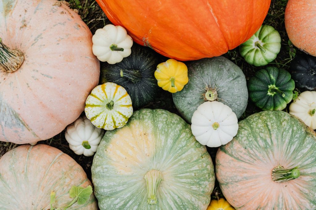 Gourd Variety