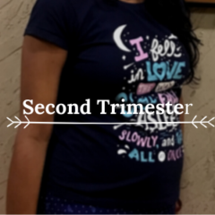 Second trimester was the time when my bump was little bit visible